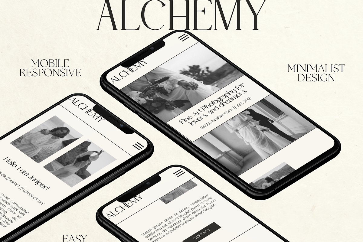 Showit Website Template Photography, an App Template by Branding Babe Co. (Photo 6 of 9)
