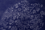 Sky Atlas 50 constellations, an Animal Illustration by ZiziMarket (Thumbnail 2 of 5)