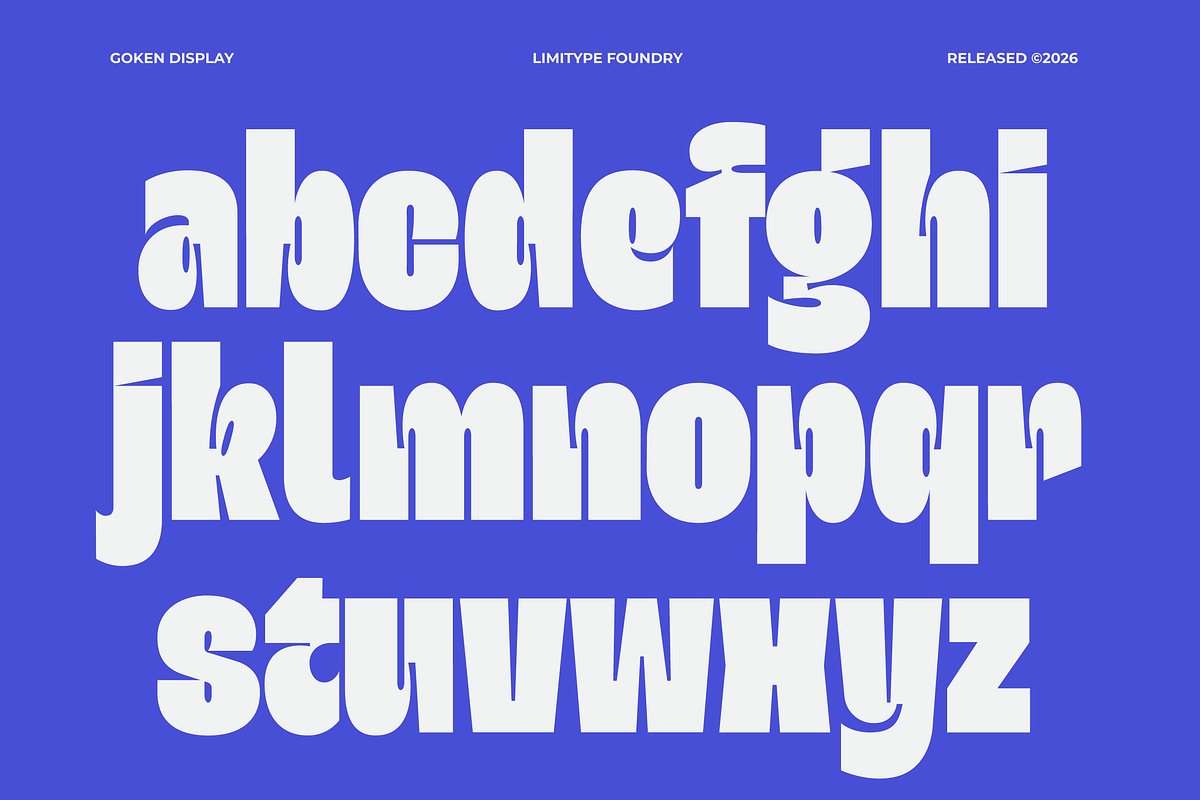 Goken - Bold Font, a Sans Serif Font by limitype (Photo 8 of 10)