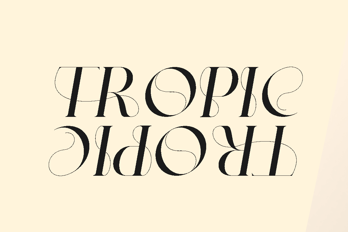 Numea - All Caps Elegant Font, a Serif Font by Pandeka Studio (Photo 3 of 10)