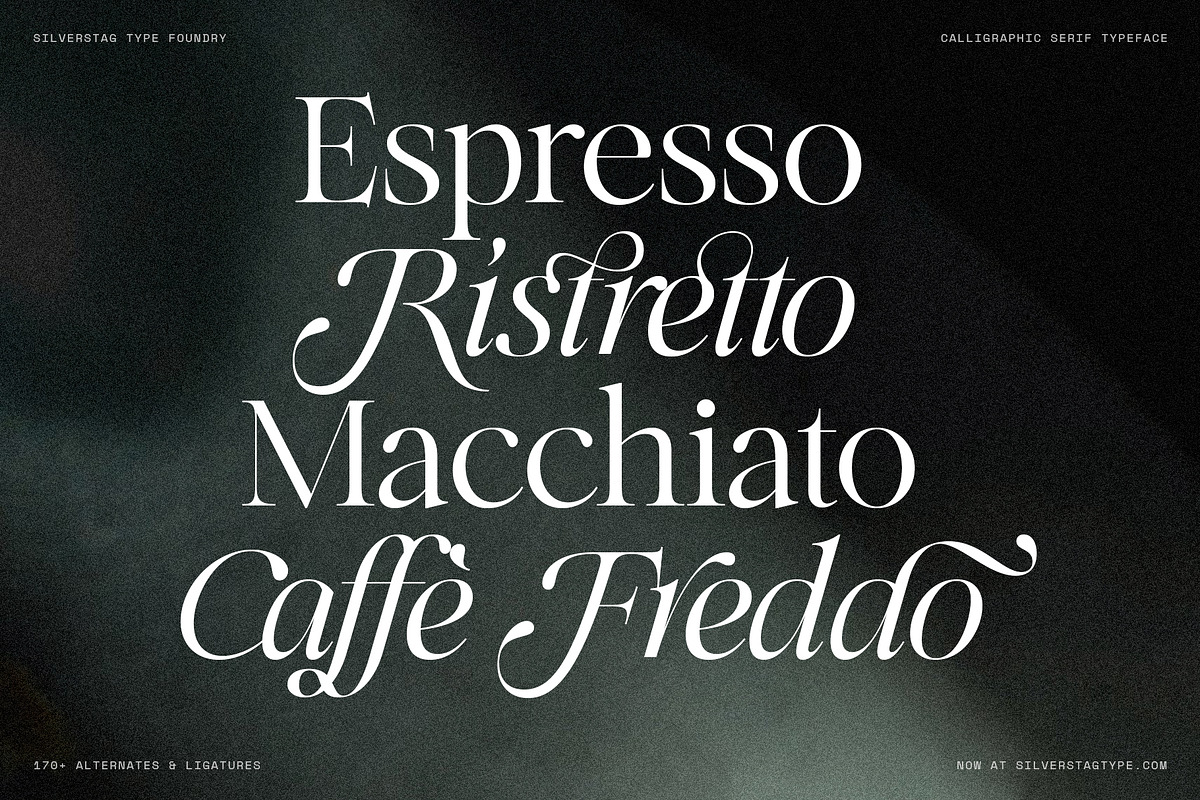 Netsera Font Preview - Free Font Downloads