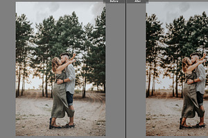 Earthy Tones - Lightroom Presets