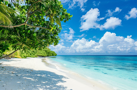 The sandy beach features crystal-cle, a Photo by Tanuart