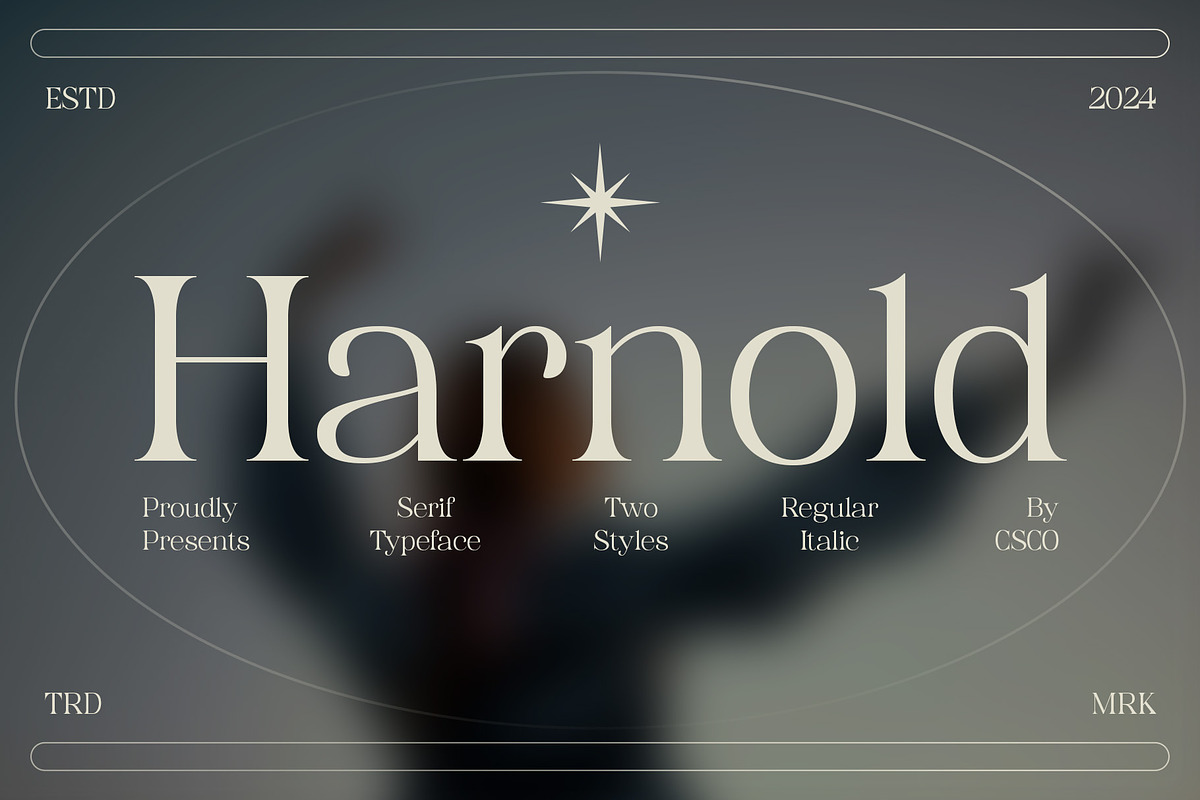 Harnold, a Serif Font by Craft Supply Co. (Photo 1 of 8)