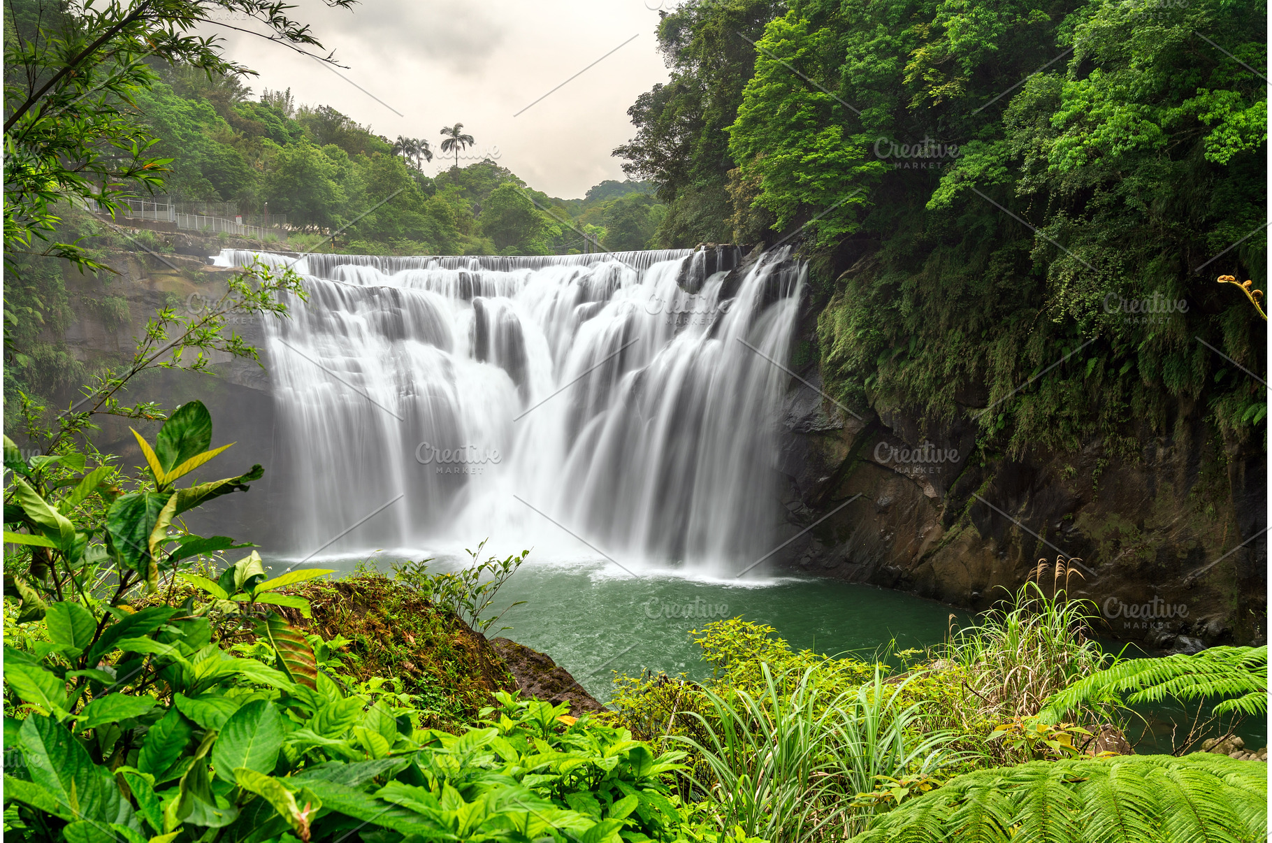 Shifen Waterfall surrounded by lush, a Nature Photo by Leonid Andronov