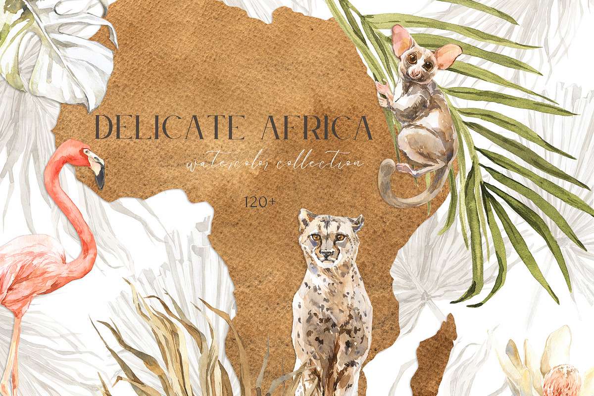 DELICATE AFRICA Watercolor, an Object Graphic by Cat In Colour (Photo 1 of 12)