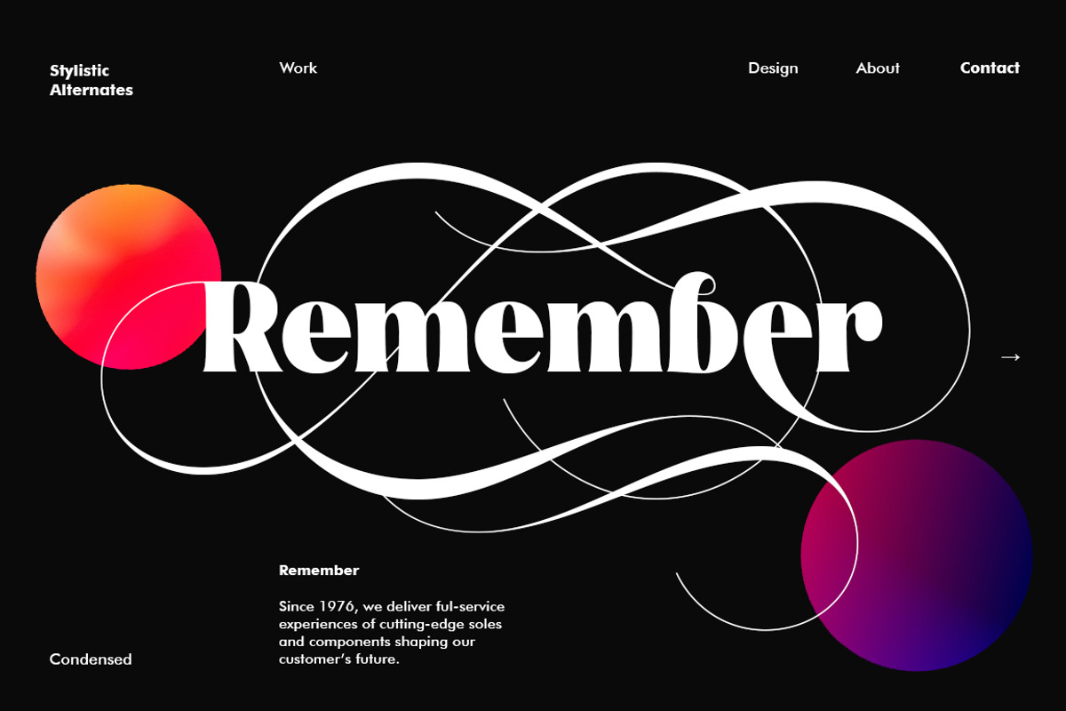 Glosta, a Serif Font by TRF Fonts (Photo 6 of 18)
