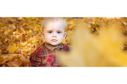 Little kid boy in the park on autumn, a Nature Photo by yanadjana