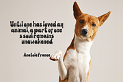 Groovy Display Font, a Handwritten Font by Authentic Studio (Thumbnail 4 of 5)