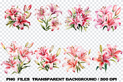 Pink Lily Flowers Watercolor Clipart, an Illustration by SindyPrintDesign (Thumbnail 3 of 3)