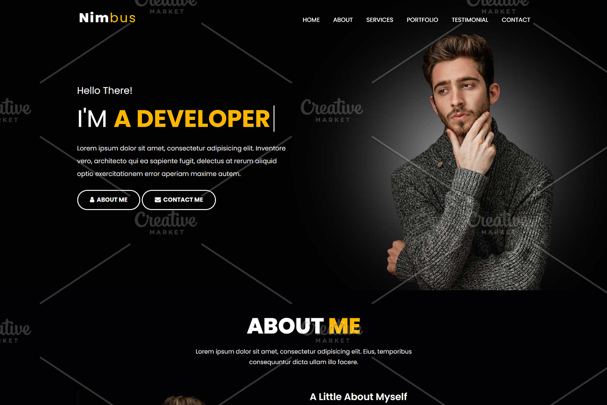 Portfolio Landing Page Template, a Landing Page Template by nandinigraphics (Photo 2 of 3)