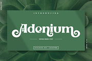 Adenium, a Serif Font by inumocca_type (Thumbnail 1 of 11)