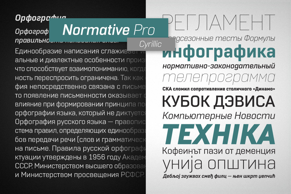 Normative Pro - 4 fonts preview 5