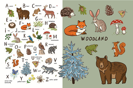 Woodland Alphabet, an Animal Illustration by GooseFrol