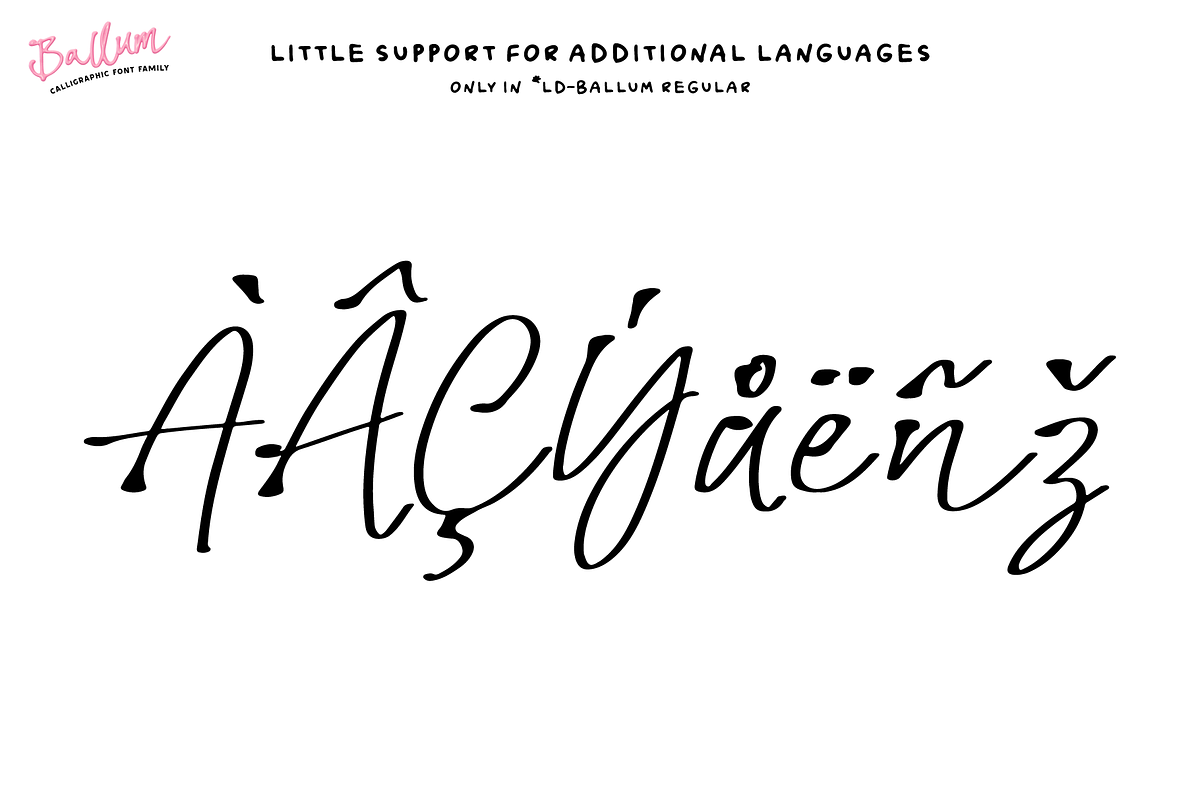 BALLUM. OTF 3D script color font., a Symbol Font by Luxfont (Photo 12 of 14)