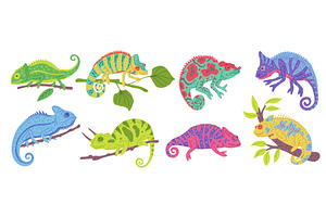 Charming vector collection, an Animal Illustration by Sabelskaya