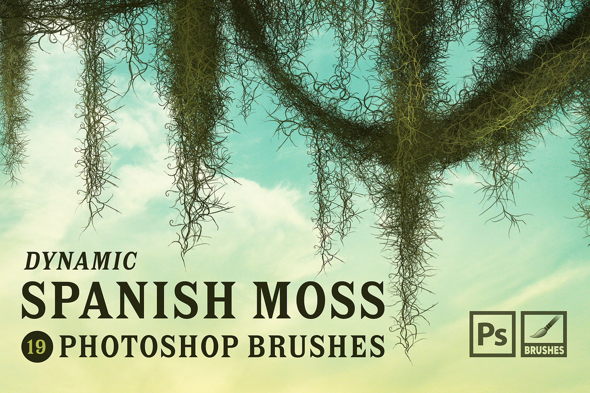Spanish Moss Photoshop Brushes, a Brush Add-On by Mohamed Saber (Photo 1 of 5)