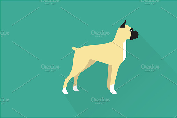Boxer Dog Icon