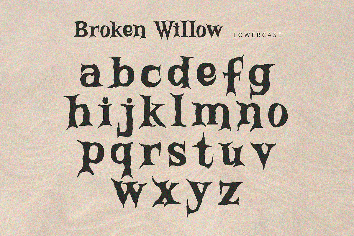 Broken Willow - Display Font, a Handwritten Font by Alpaprana (Photo 8 of 10)