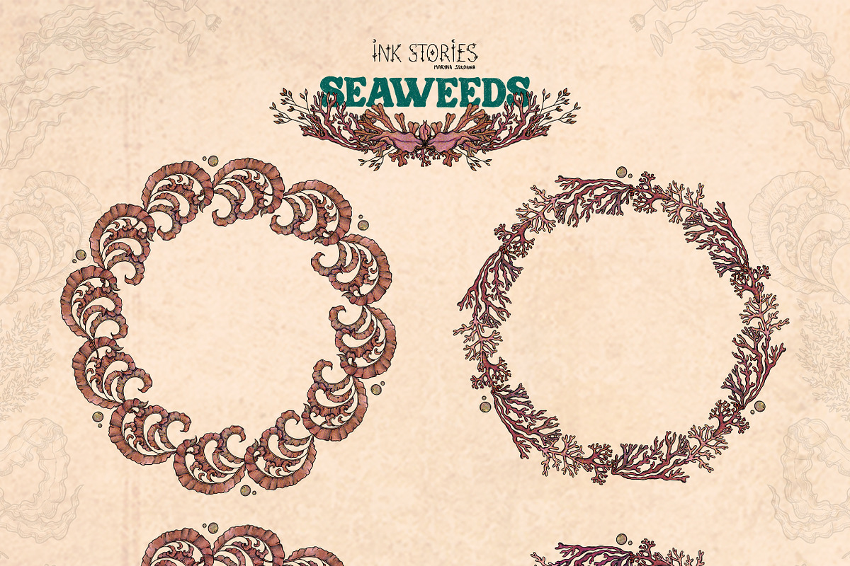 Enchanted Sea Bundle Fantasy Marine, an Animal Illustration by Ink Stories (Photo 16 of 54)