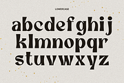Balmore, a Serif Font by Sronstudio (Thumbnail 9 of 11)