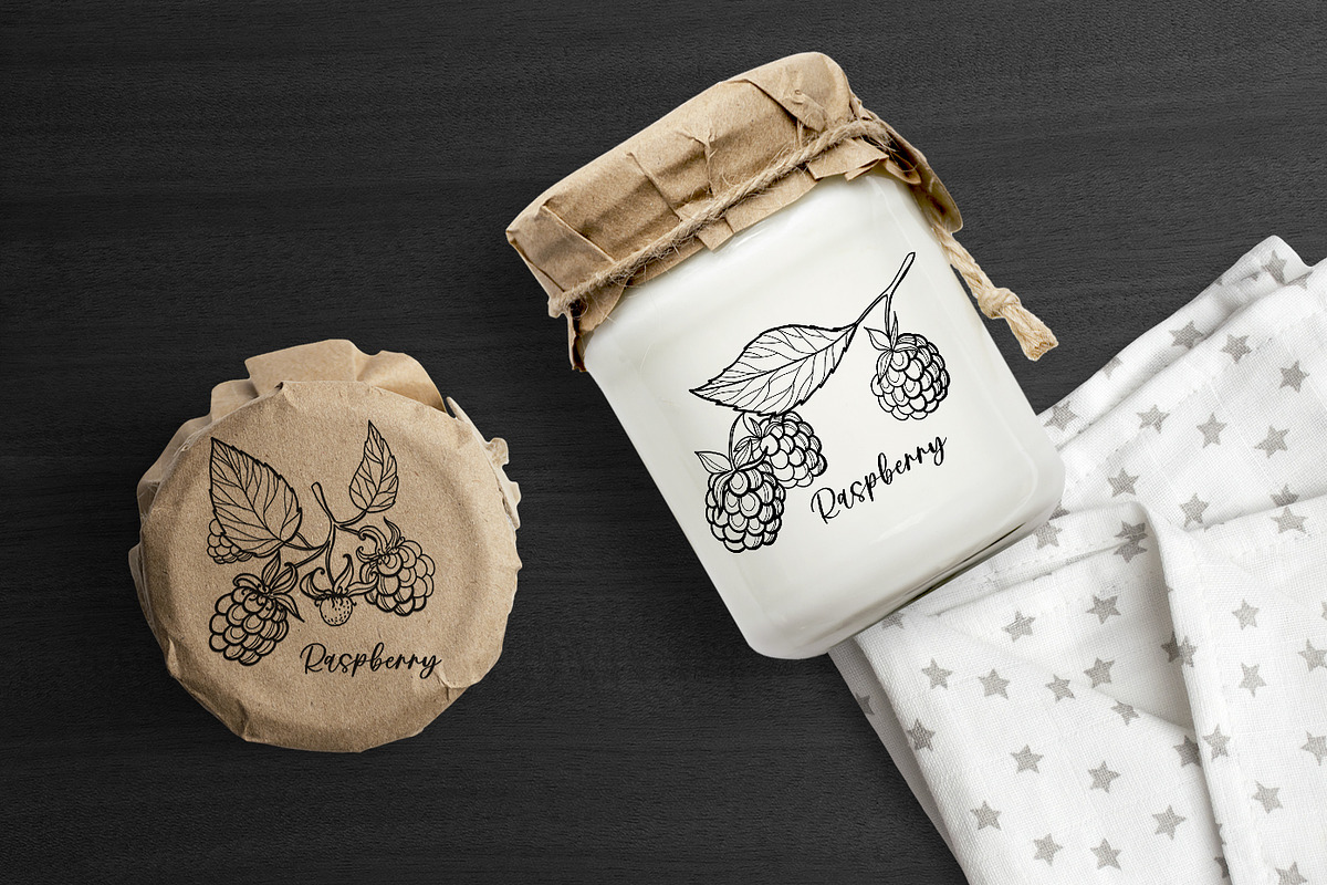 Raspberry | Line art & Color vector, a Decorative Illustration by Dervik Art Store (Photo 4 of 8)