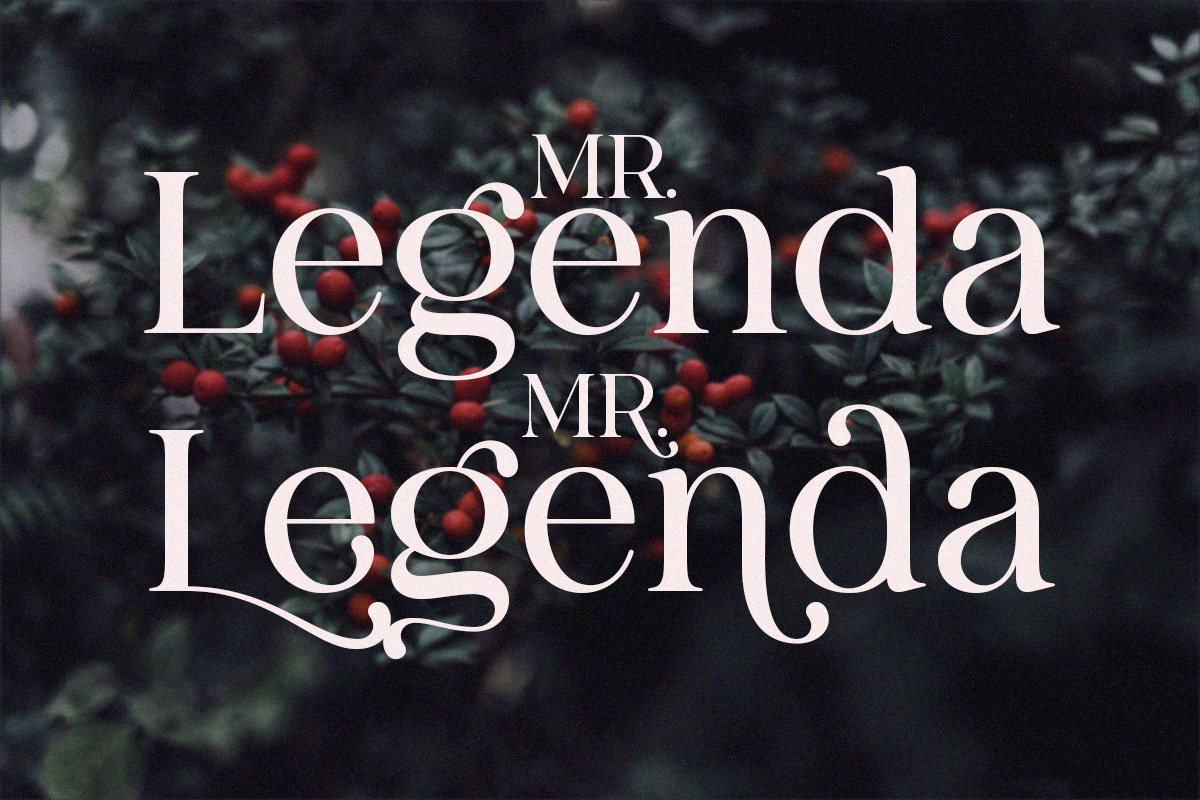 Sangect Display, a Serif Font by Pista Mova (Photo 10 of 12)