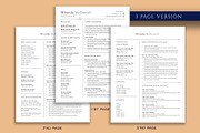 Professional RN Resume, a Resume Template by VictoriousVita (Thumbnail 4 of 8)