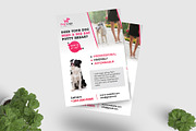 Dog walker Flyer Templates, a Flyer Template by ideaz_sabbir (Thumbnail 4 of 9)