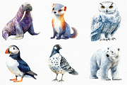 Arctic Animals Clipart, an Illustration by Craft Nest (Thumbnail 5 of 6)
