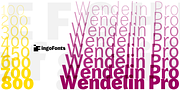 Wendelin Pro, a Sans Serif Font by ingoFonts (Thumbnail 2 of 10)