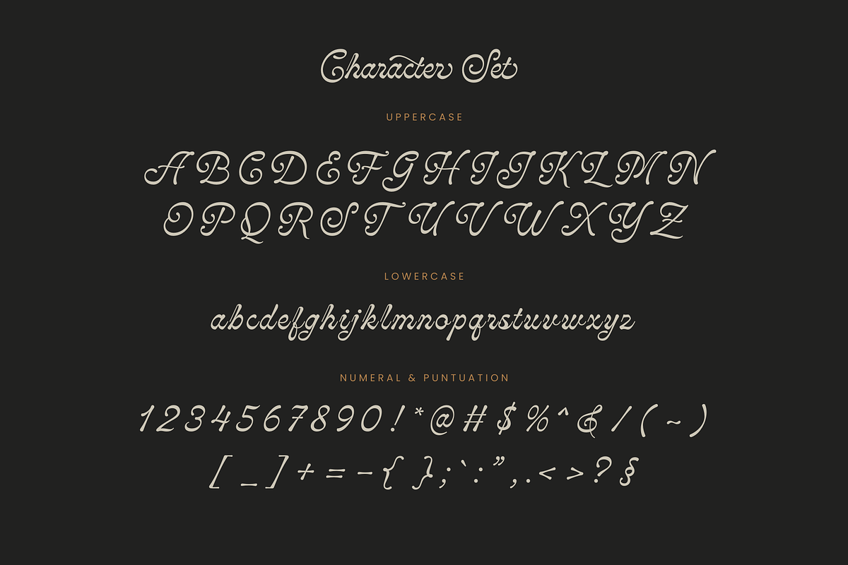 Monthera - Classy Script Font, a Font by Sronstudio (Photo 17 of 17)