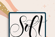 Joyful Procreate Brush Calligraphy, a Brush Add-On by HowJoyful  (Thumbnail 37 of 44)