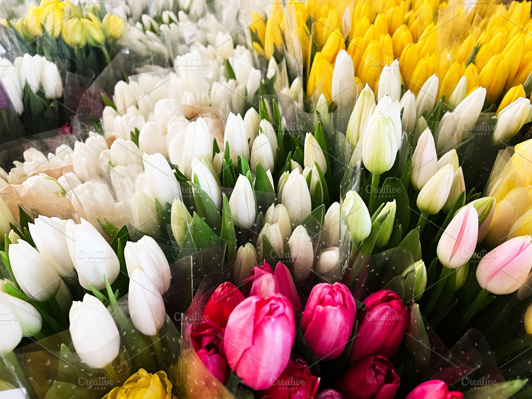 Colorful selection of tulip bouquets arranged in vibrant and fresh floral displ, a Photo by AS photostudio