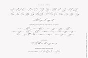 Dostoevsky // Fine Art Font SALE!!!, a Script Font by PeachCreme (Thumbnail 13 of 14)