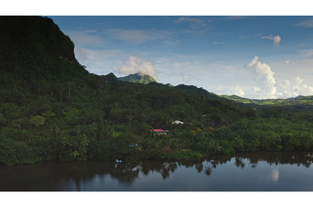 Lush jungle landscape with mountain