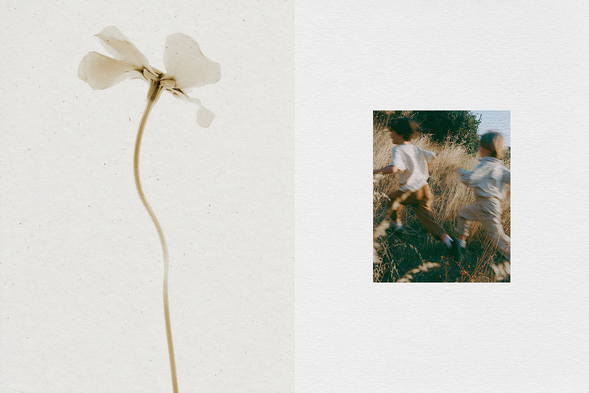 Subtle Paper Textures, a Texture Graphic by Design Squad (Photo 3 of 7)