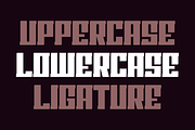 Spora Kajoler, a Sans Serif Font by QR Design Studio (Thumbnail 5 of 8)