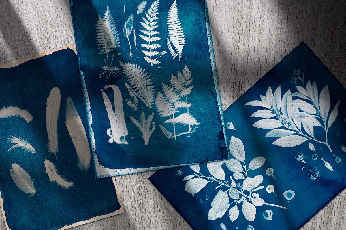 CYANOTYPE Digital Photoshop Effect, a Plug-in Add-On by PhotoSpirit (Photo 7 of 11)
