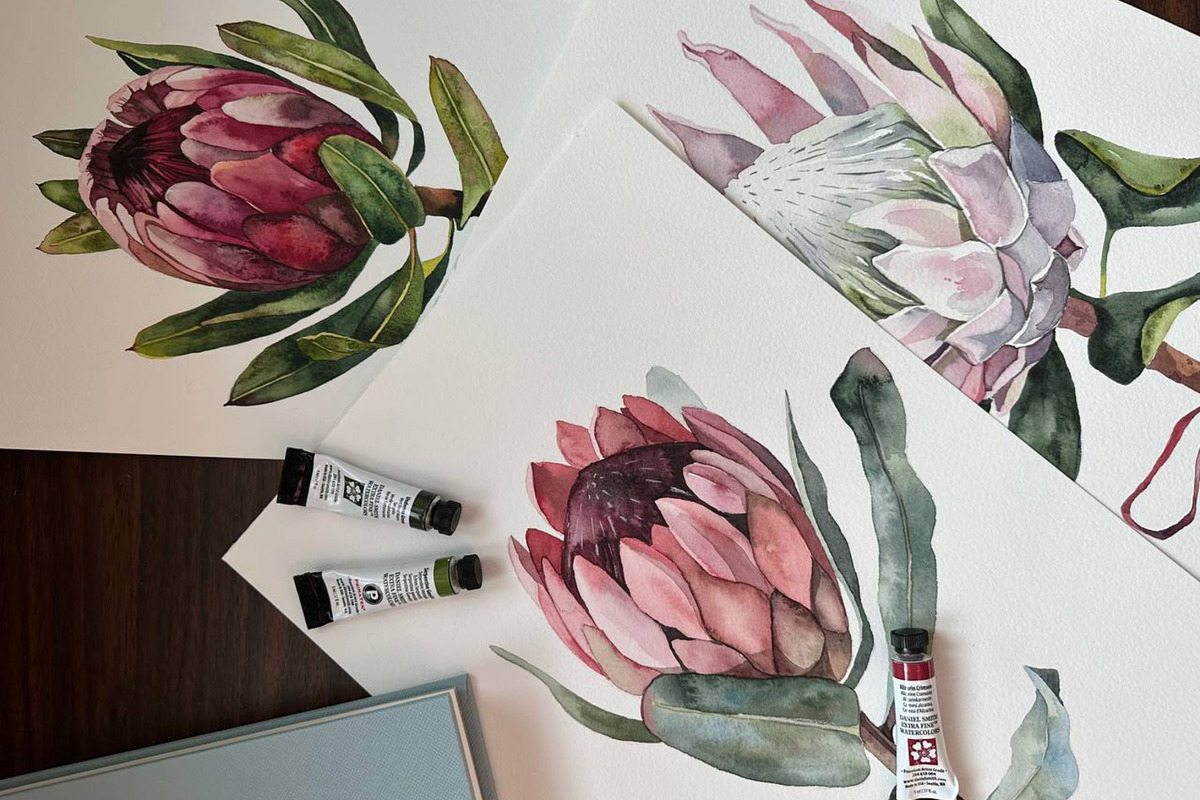 Protea floral watercolor clipart png, a Decorative Illustration by Artcard Watercolor (Photo 3 of 7)