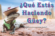 Taco, a Font by FontMesa (Thumbnail 3 of 10)