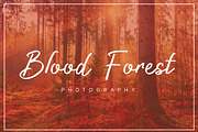 Authorized Signature Script Fonts, a Script Font by Patria Ari (P4tcreativa) (Thumbnail 5 of 10)