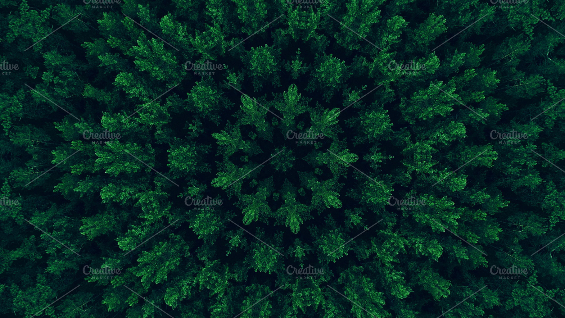 Green mandala foliage kaleidoscope leaves texture, an Abstract Photo by Photo Drive Studio