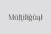 Feliz en Vista - Display Font, a Serif Font by Harmonais Visual (Thumbnail 15 of 15)