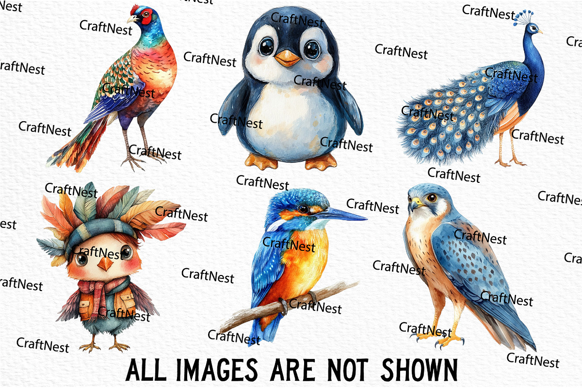 Cute Birds Clipart, an Illustration by Craft Nest (Photo 6 of 6)