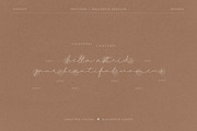 Ballantik Modern Monoline Script, a Script Font by Creatype Studio (Thumbnail 5 of 9)