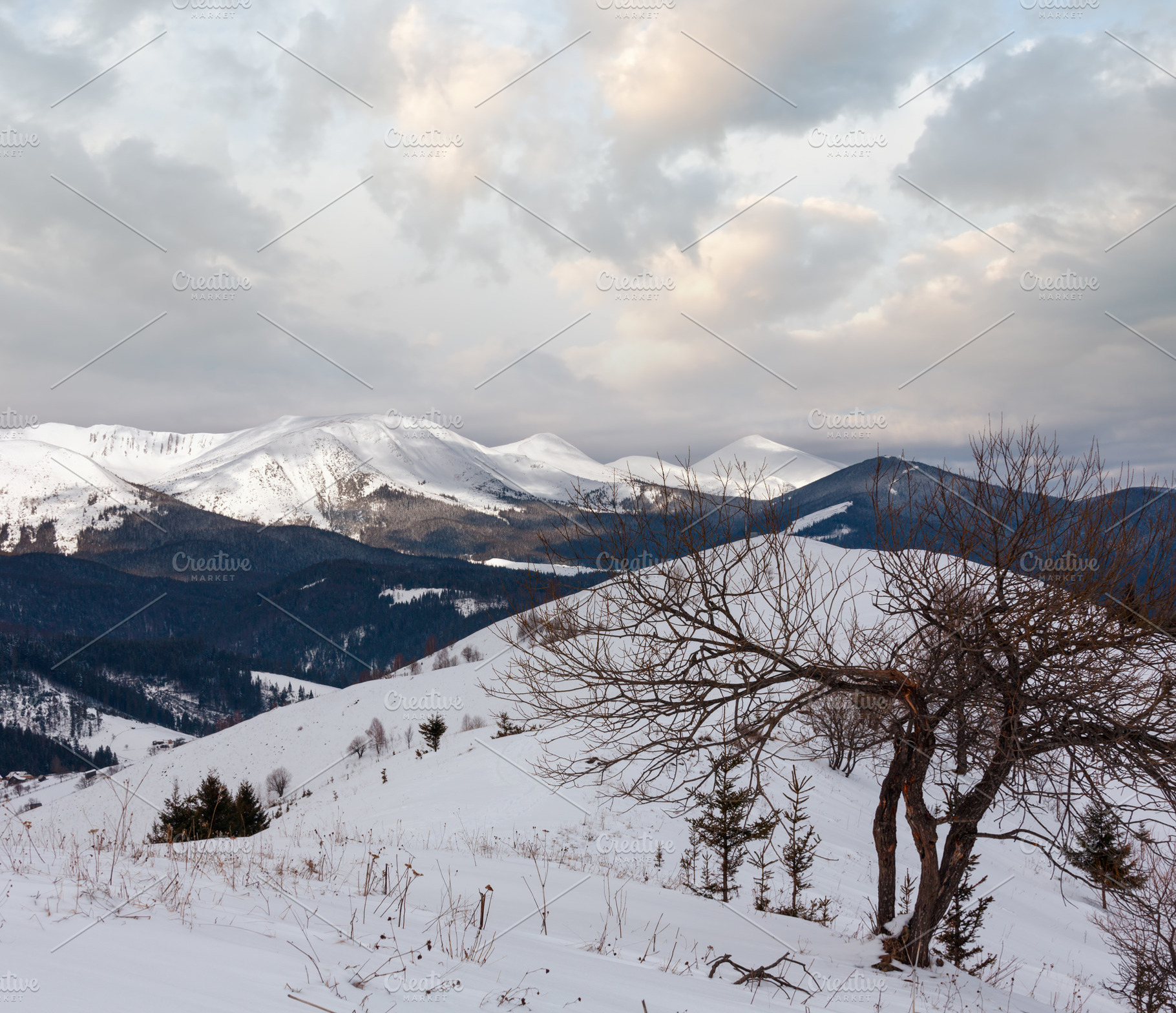 Morning winter mountain ridge, a Nature Photo by YuriyB