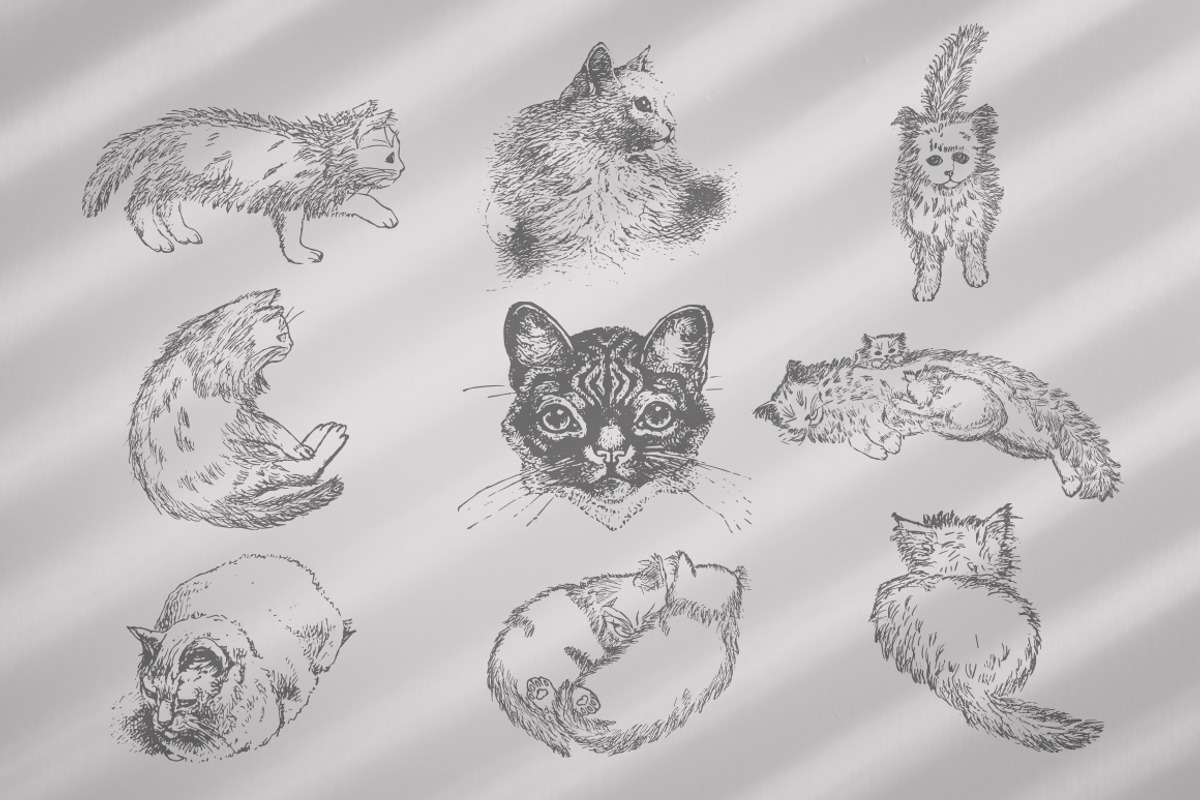 Cats Vector Set, an Illustration by Retro Machine (Photo 14 of 21)