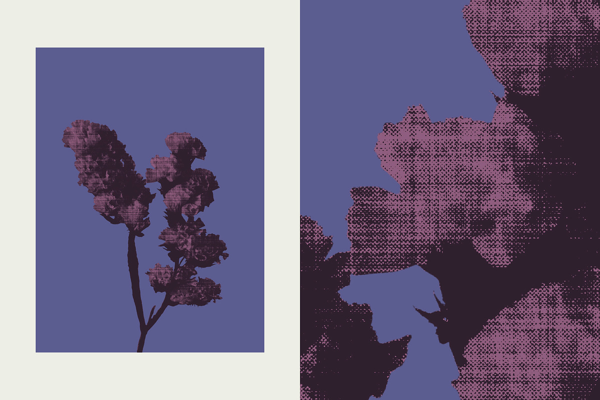 Printed Botanical Graphics, an Object Graphic by Neatly Made Studio (Photo 9 of 17)