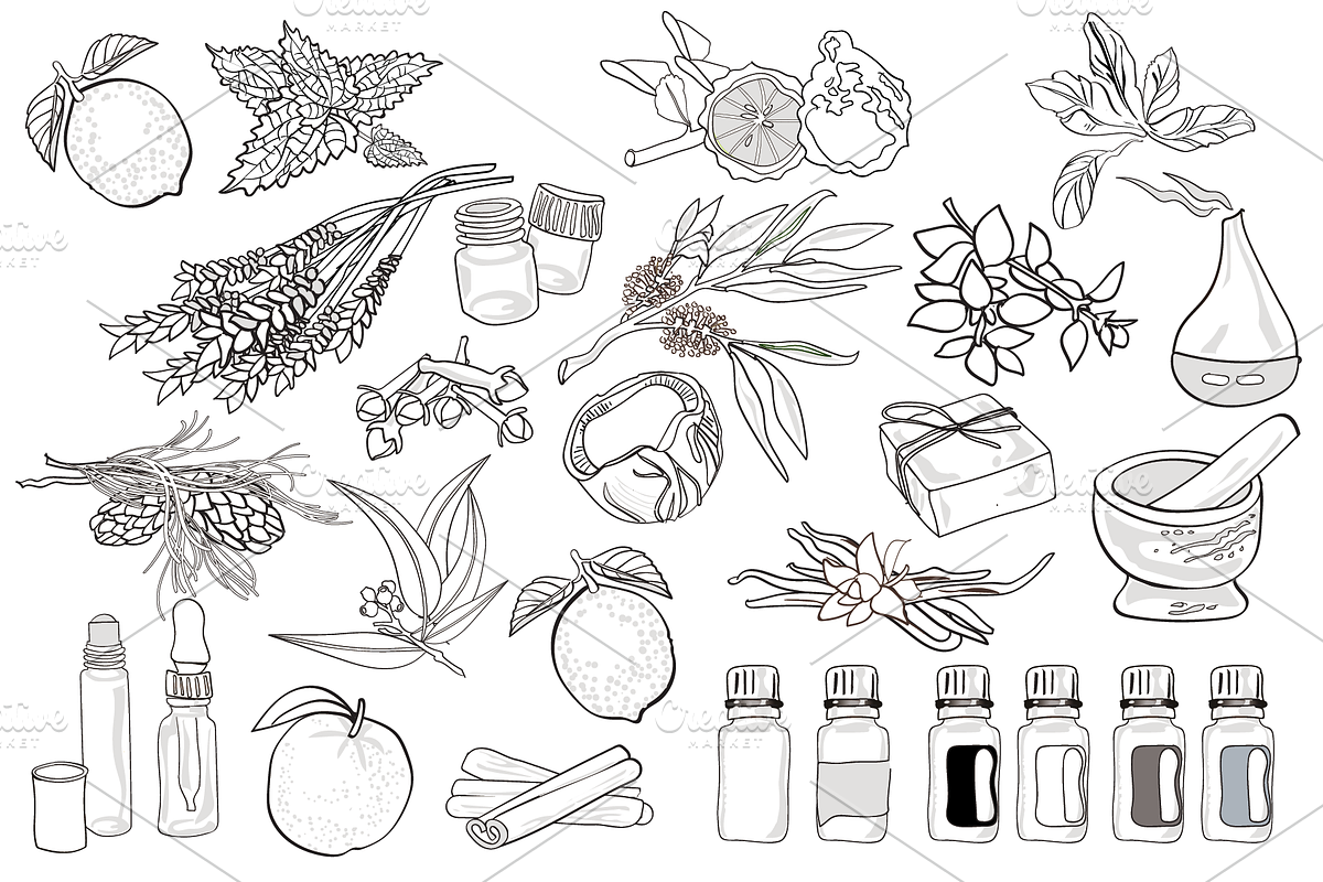 Aromatherapy and Essential Oils, an Illustration by Lady Spy (Photo 4 of 7)